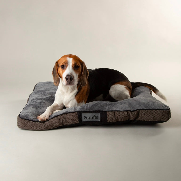 Scruffs Chester Mattress Medium 60 x 50cm