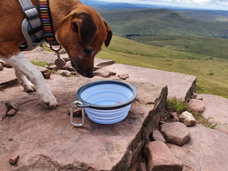 Henry Wag Travel Dog Bowl 750ml