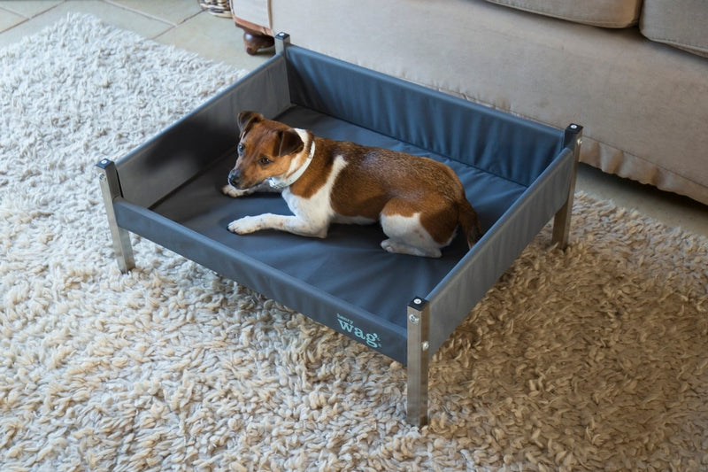 Henry Wag Elevated Dog Bed Medium