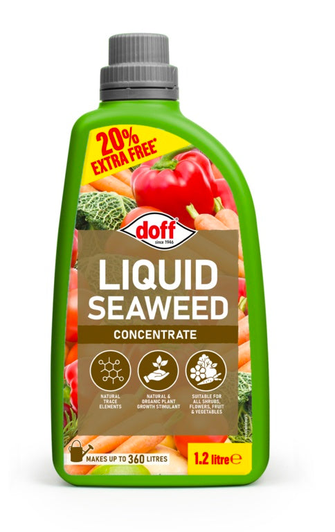 Doff Liquid Seaweed Concentrate 1.2L Extra Fill