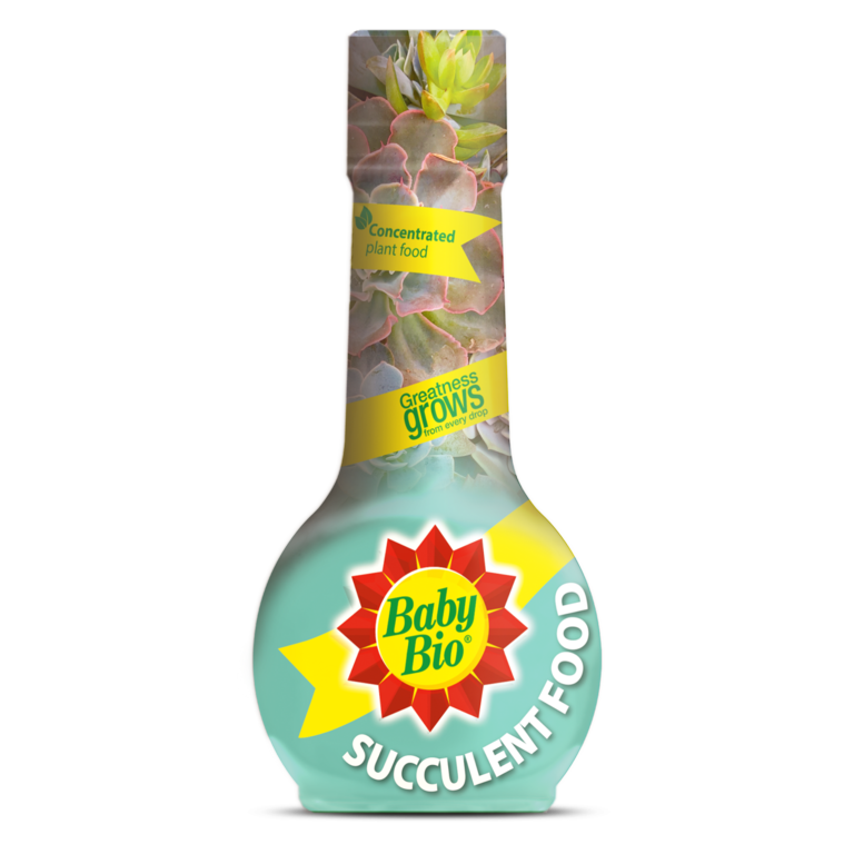 Baby Bio Succulent Plant Feed 175ml