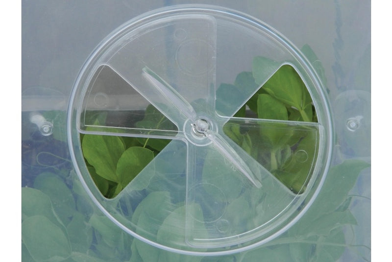 Garland Square Cloche Cover 32cm