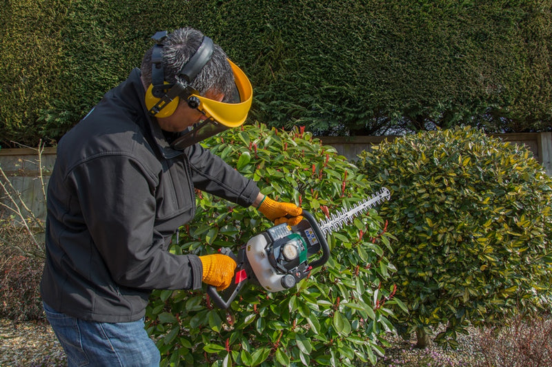 Webb 26cc Petrol Hedge Trimmer Double Sided 58cm