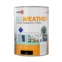 Zinsser All Weather Masonry Paint Black 5L