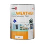 Zinsser All Weather Masonry Paint White 5L