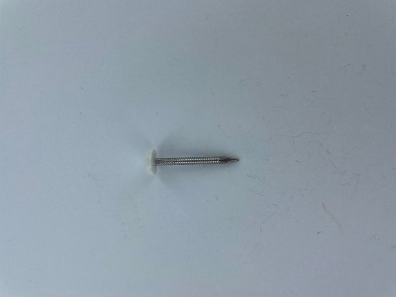 Securfix Stainless Steel Plastic Headed Nail White 40mm 50 Pack