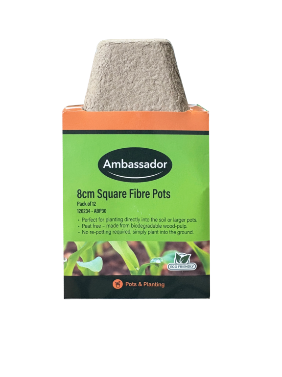 Ambassador 8cm Square Fibre Pots Pack 12