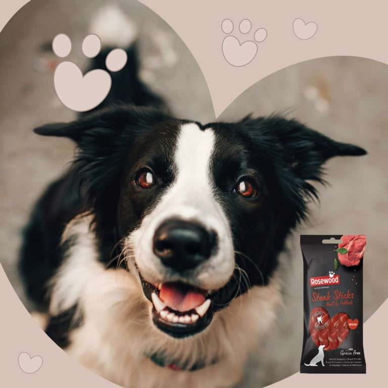 ROSEWOOD Steak Sticks Beef & Pollock Dog Treats Medium