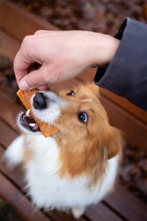 ROSEWOOD Chicken Fillet Strips Dog Treats Large