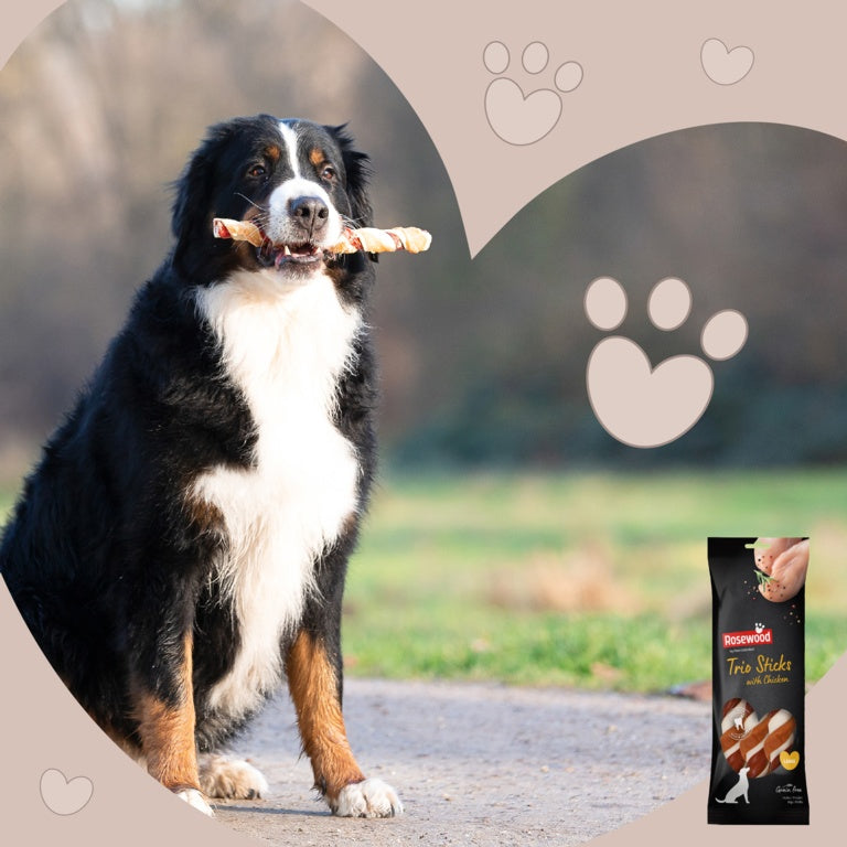 ROSEWOOD Trio Sticks With Chicken Dog Treats Large