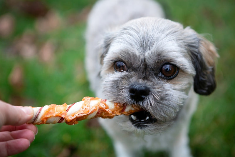 ROSEWOOD Trio Stick With Chicken Dog Treats Medium