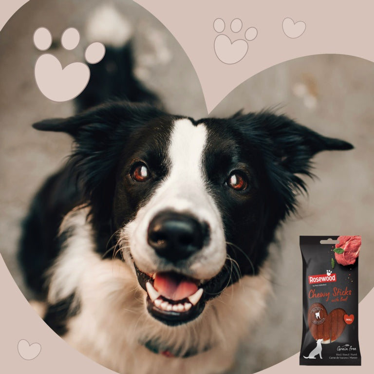 ROSEWOOD Chewy Sticks With Beef Dog Treats 8 Pieces