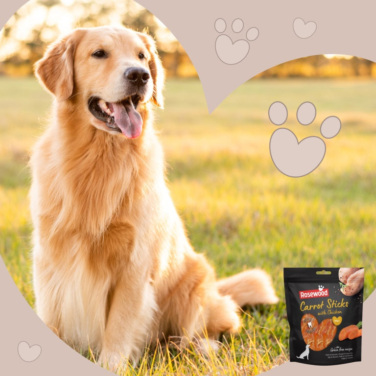 ROSEWOOD Carrot Sticks With Chicken Value Pack 320g