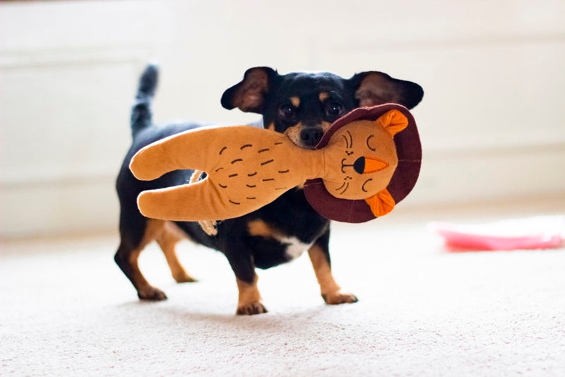 ROSEWOOD Eco Friendly Lion Dog Toy