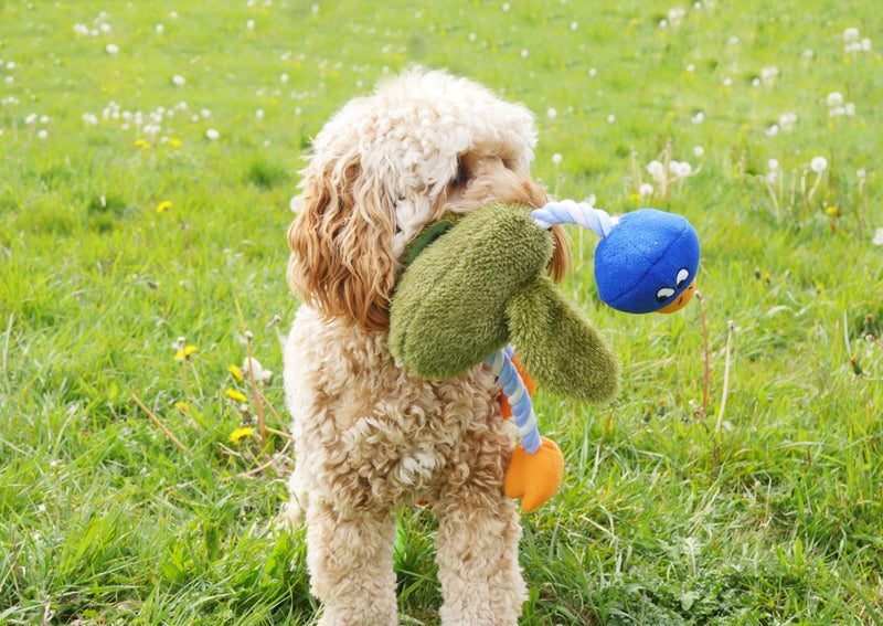 ROSEWOOD Mister Twister Delia Duck Dog Toy