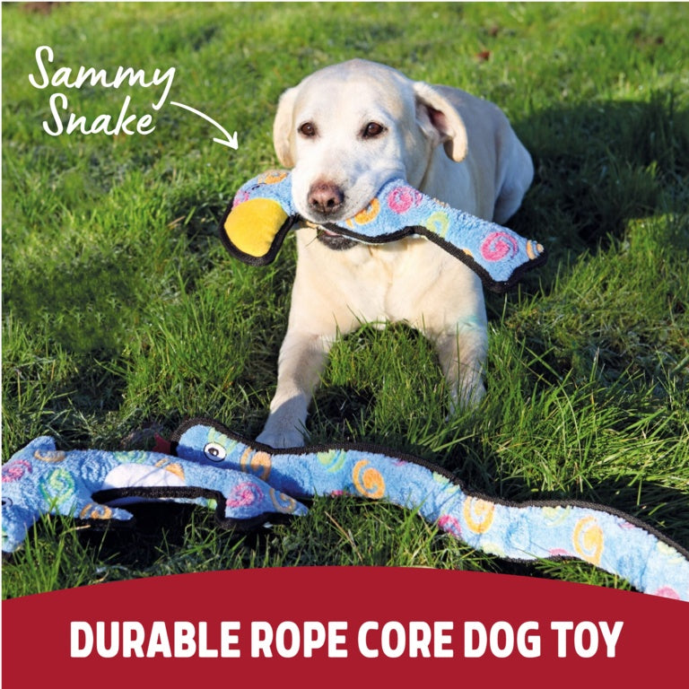 ROSEWOOD Super Tough Snake Dog Toy