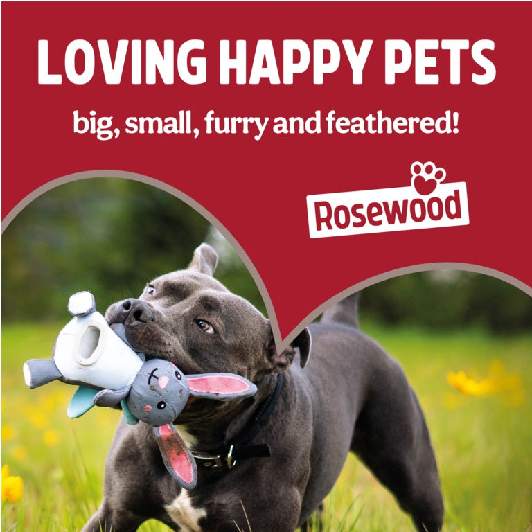ROSEWOOD Super Tough Snake Dog Toy