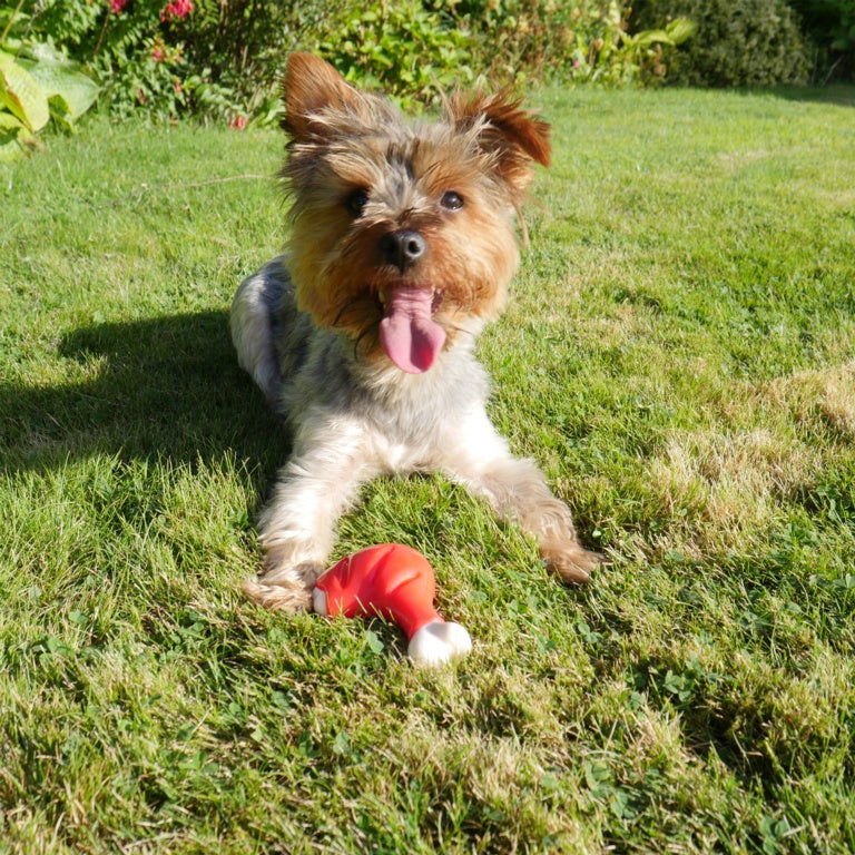 ROSEWOOD Meaty Chicken Leg Dog Toy Small