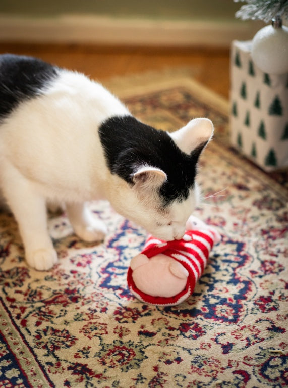 ROSEWOOD Penny Pig In Blanket