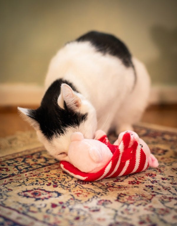 ROSEWOOD Penny Pig In Blanket
