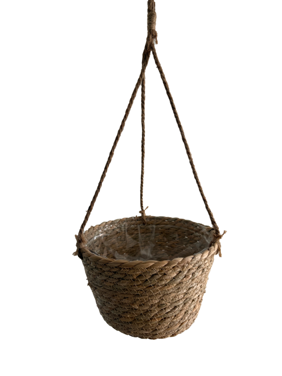 Ambassador Oval Woven Hanging Basket 8"
