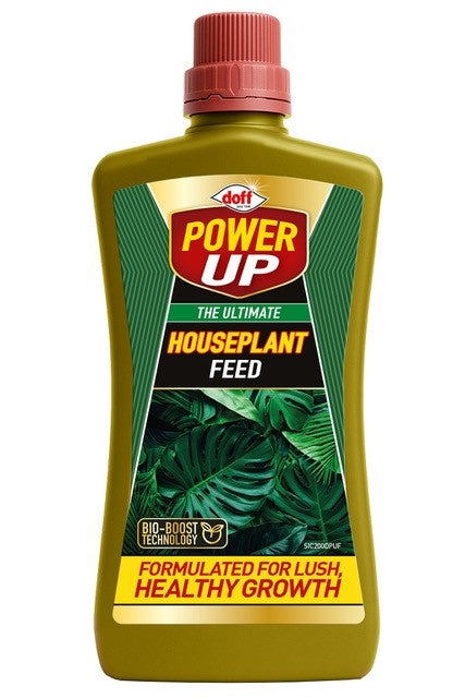 Power Up The Ultimate Houseplant Feed