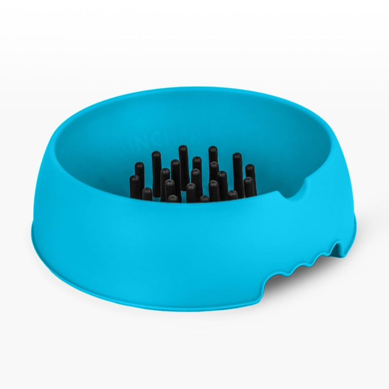Slow Muncher Large Dog Bowl Blue External: 270mm Internal: 220mm