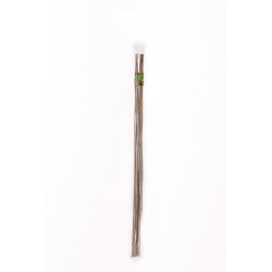 Ambassador Bamboo Canes 5' Pack 10