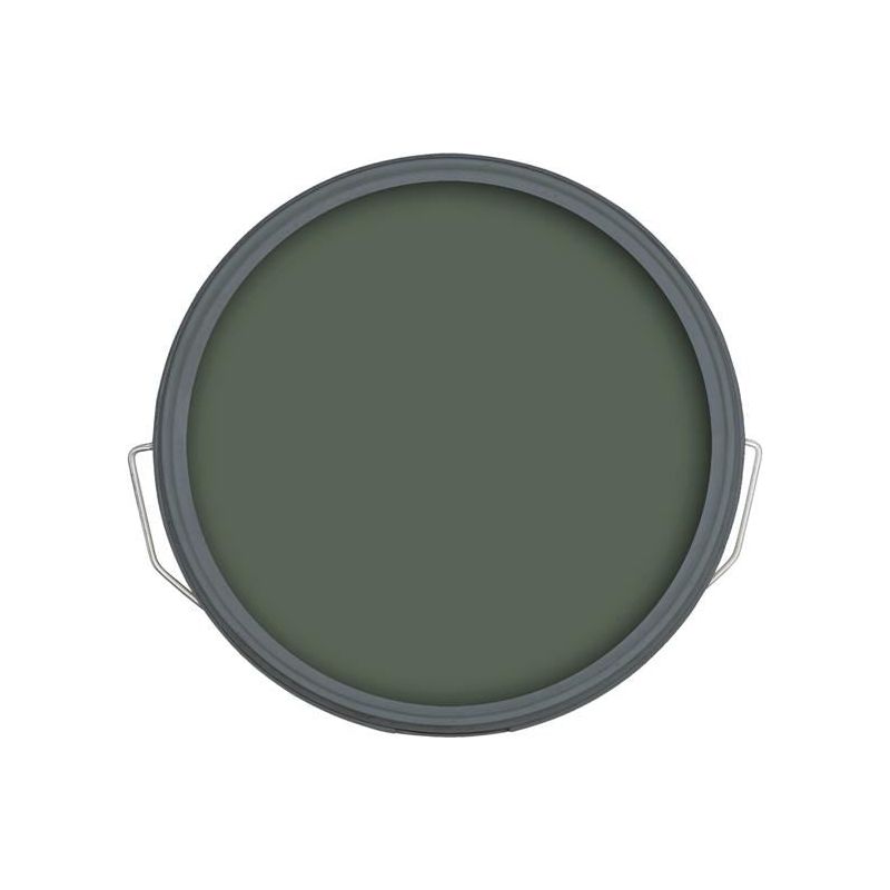 Ronseal Fence Life Plus+ Willow 5 litre Ronseal - RockBottom Nothampton