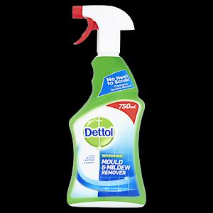 Dettol Mould & Mildew Remover Spray 750ml