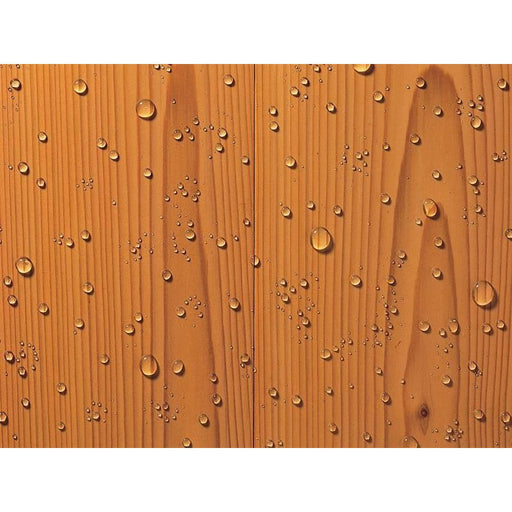 Ronseal Thompson's One Coat Water Seal 1 litre Ronseal - RockBottom Nothampton