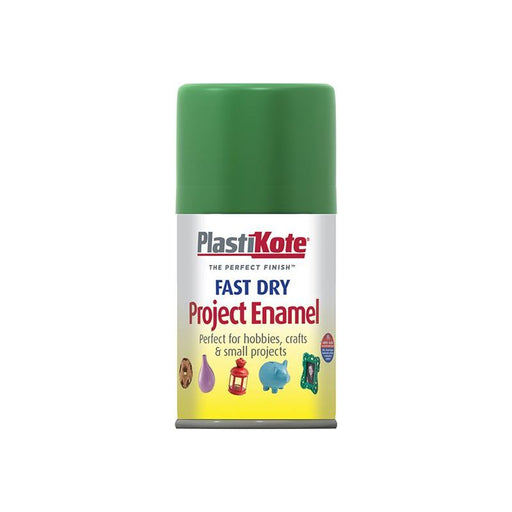 Plastikote Fast Dry Enamel Aerosol Garden Green 100ml PlastiKote - RockBottom Nothampton