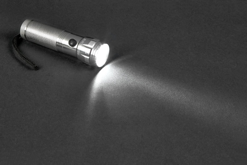 Electralight 14 LED Aluminium Torch (70 Lumens)