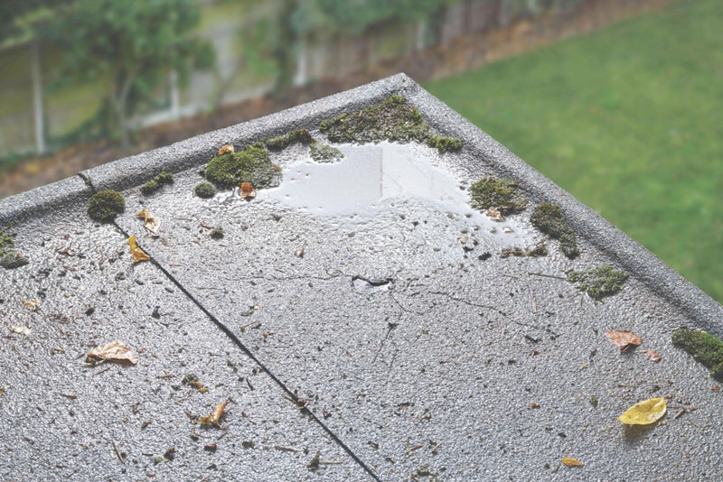 Thompson's Emergency Roof Repair Mastic 750ml