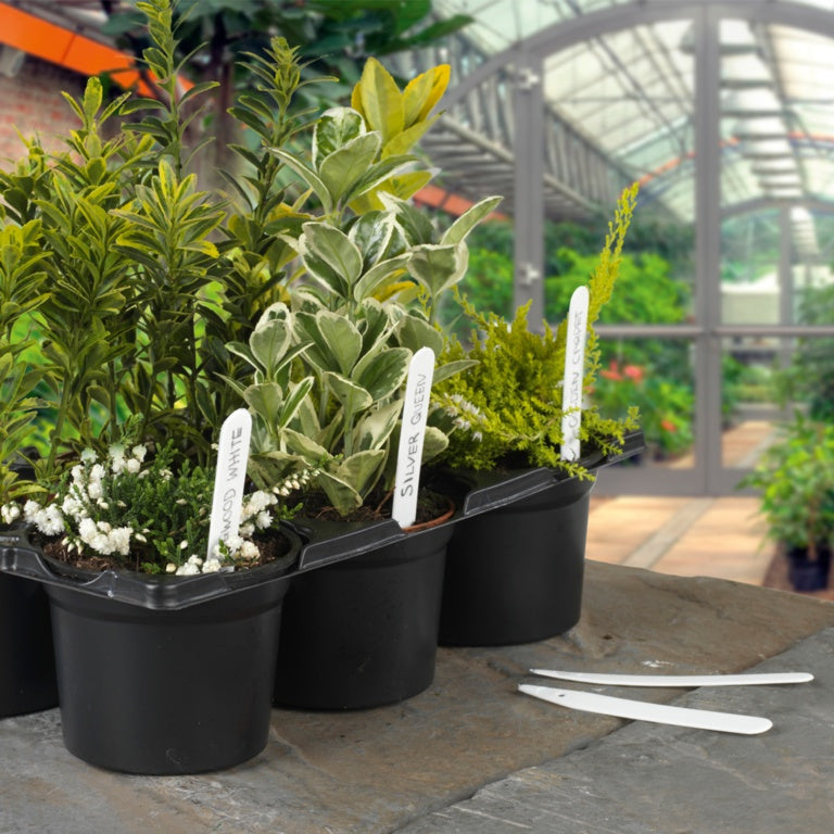 Ambassador Plant Labels 4" (10cm)