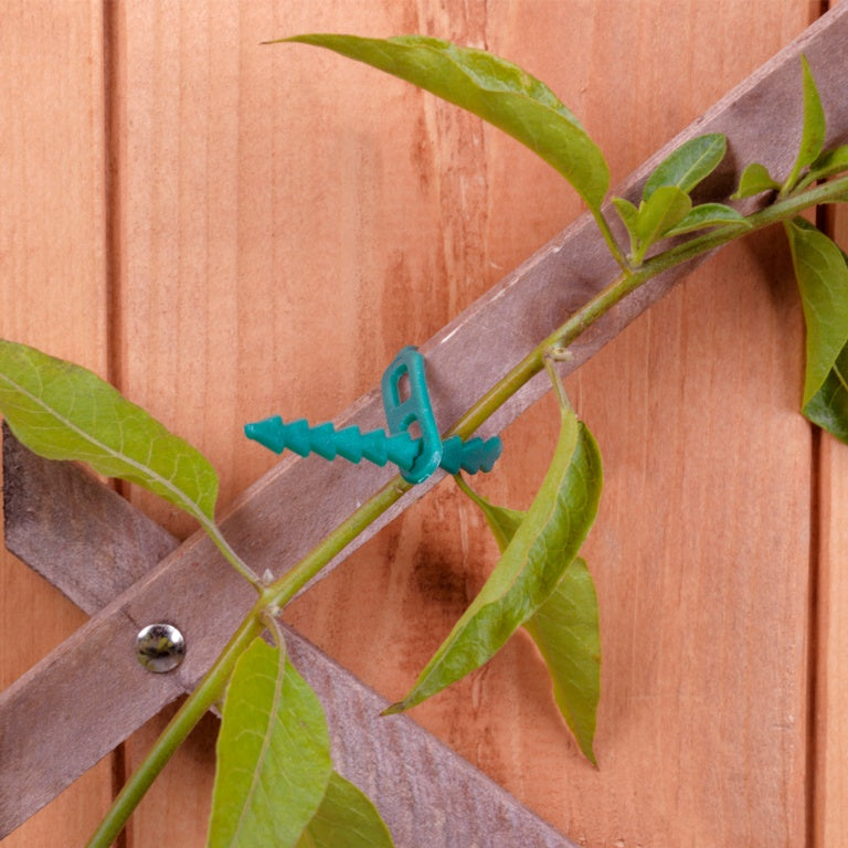 Ambassador Adjustable Plant Ties 12.5cm