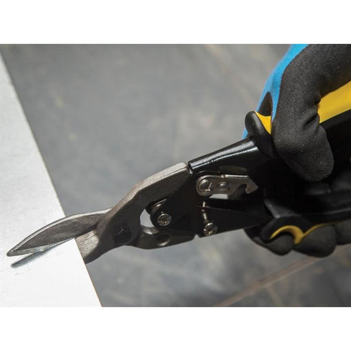 Bluespot Tools Aviation Tin Snips Straight Cut 250mm (10in) BlueSpot Tools - RockBottom Northampton