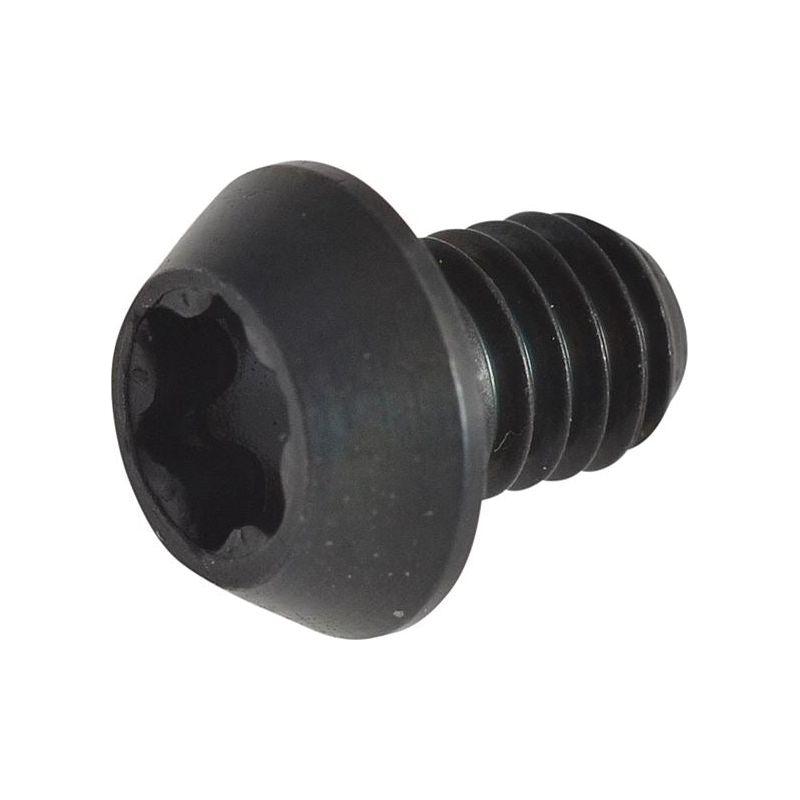 Trend RT/3.5 TORX Replacement Screws Trend - RockBottom Northampton