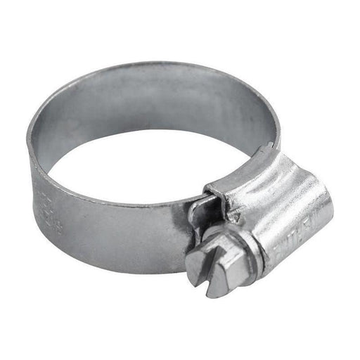 Faithfull 1A Stainless Steel Hose Clip 22 - 30mm Faithfull - RockBottom Northampton