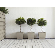 Ronseal Garden Paint Warm Stone 2.5 litre Ronseal - RockBottom Nothampton