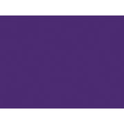 Shurtape Duck Tape® 48mm x 18.2m Purple Shurtape - RockBottom Nothampton