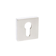 Polished Nickel