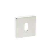 Polished Nickel