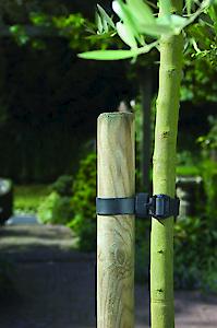 Apollo Buckle Tree Ties 18" (2 Pack)