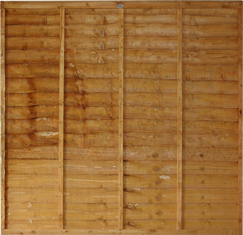 Tafs Lap Panel 6 x 6 Autum Gold