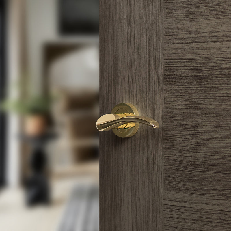 Mediterranean Valencia Lever Door Handle on Round Rose - Polished Brass