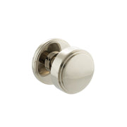 Polished Nickel