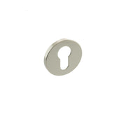 Polished Nickel