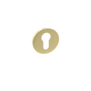 Satin Brass