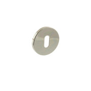 Polished Nickel